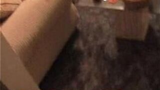 Some real live in the hood fuck action - porn video